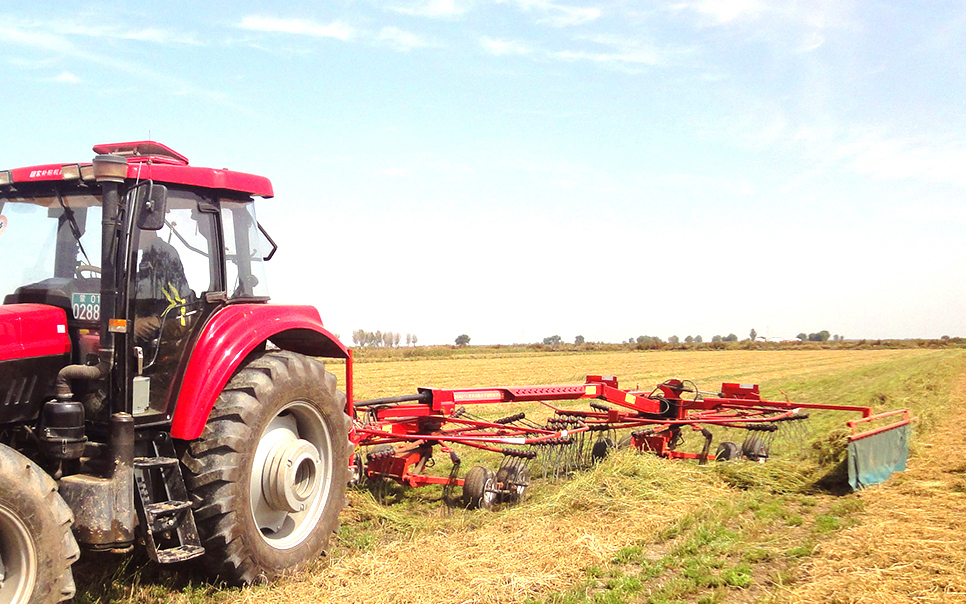 標(biāo)題：9LSQ-5.3型多功能水平旋轉(zhuǎn)摟草機
瀏覽次數(shù)：48
發(fā)表時間：2023-12-12