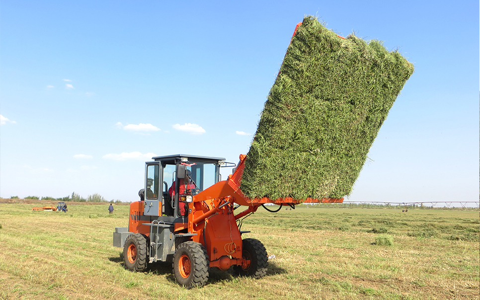 標(biāo)題：9DCK-15方草捆集垛機(jī)
瀏覽次數(shù)：61
發(fā)表時(shí)間：2023-12-12